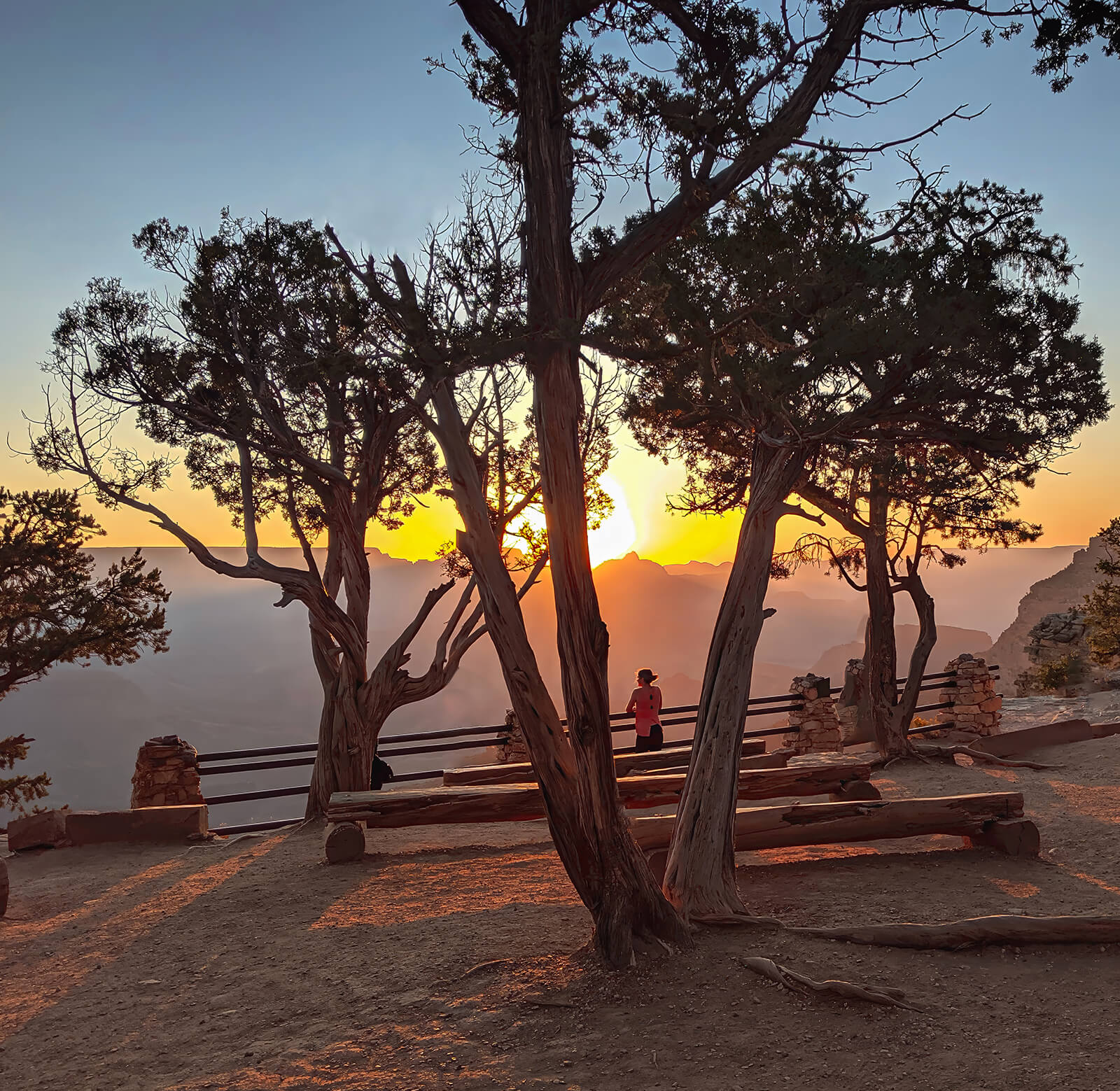 Your Alternative text