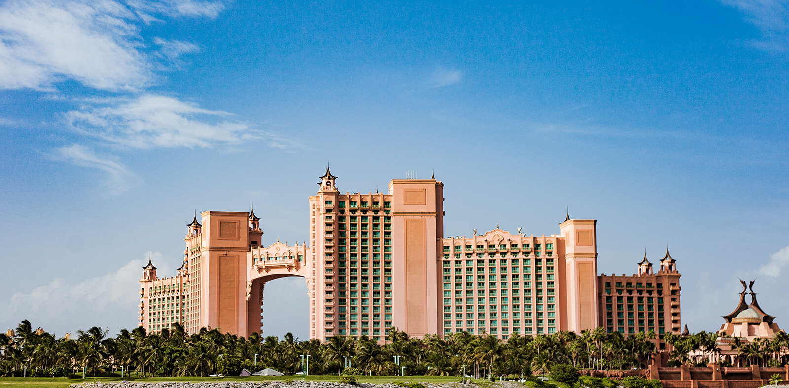 Your Alternative text