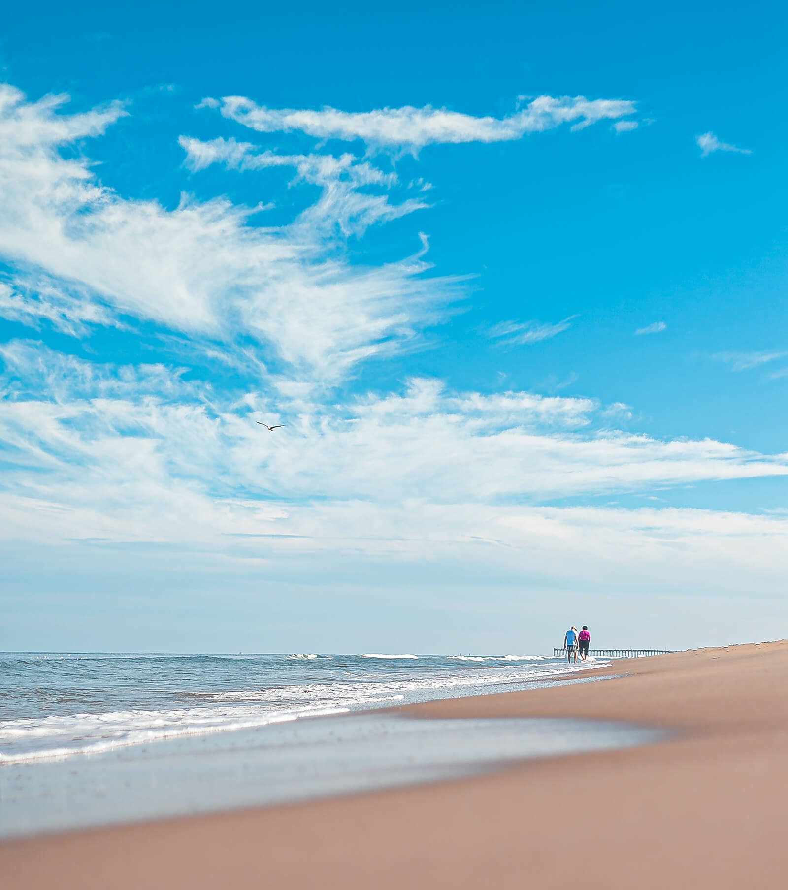 Your Alternative text