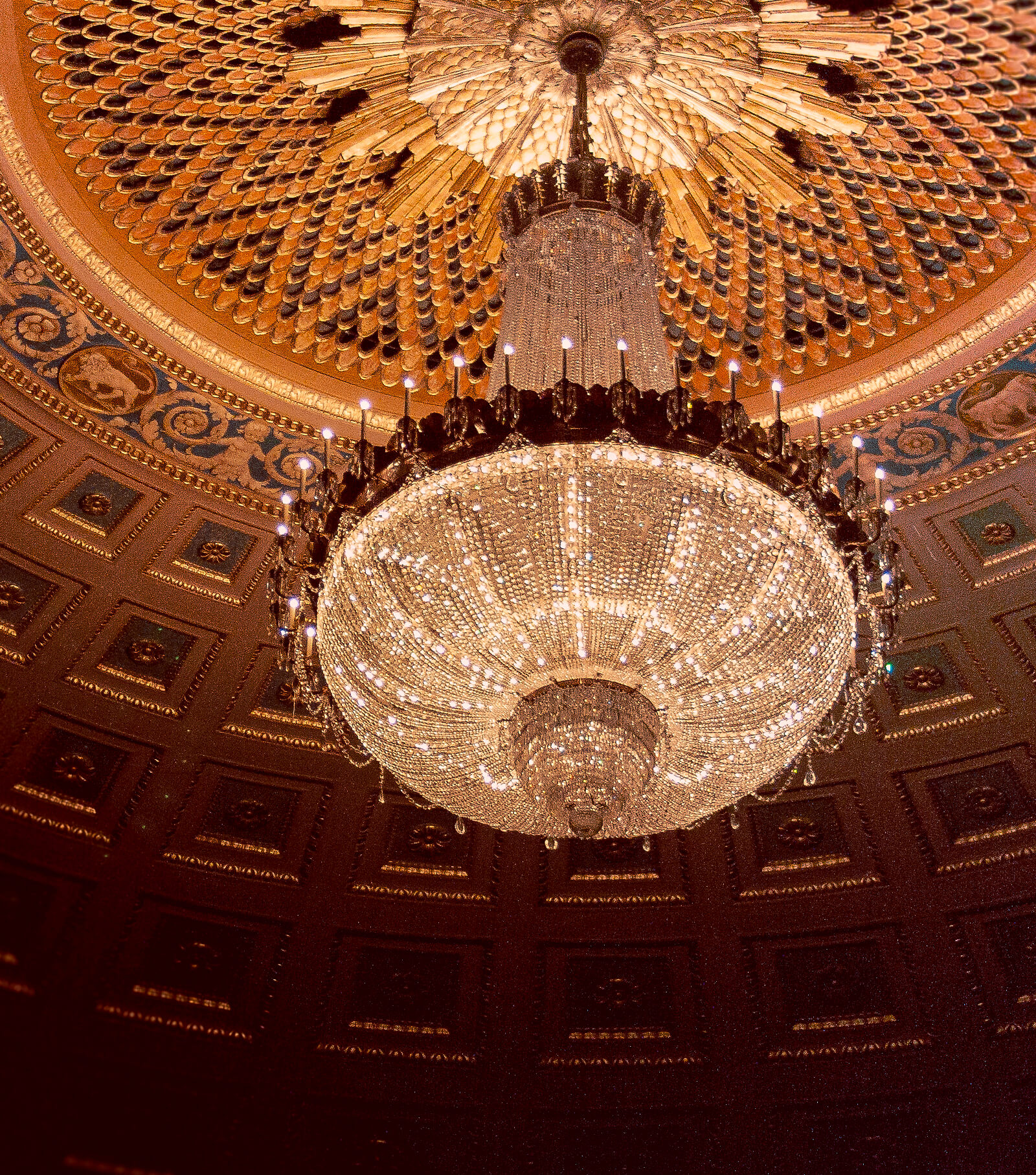 Your Alternative text