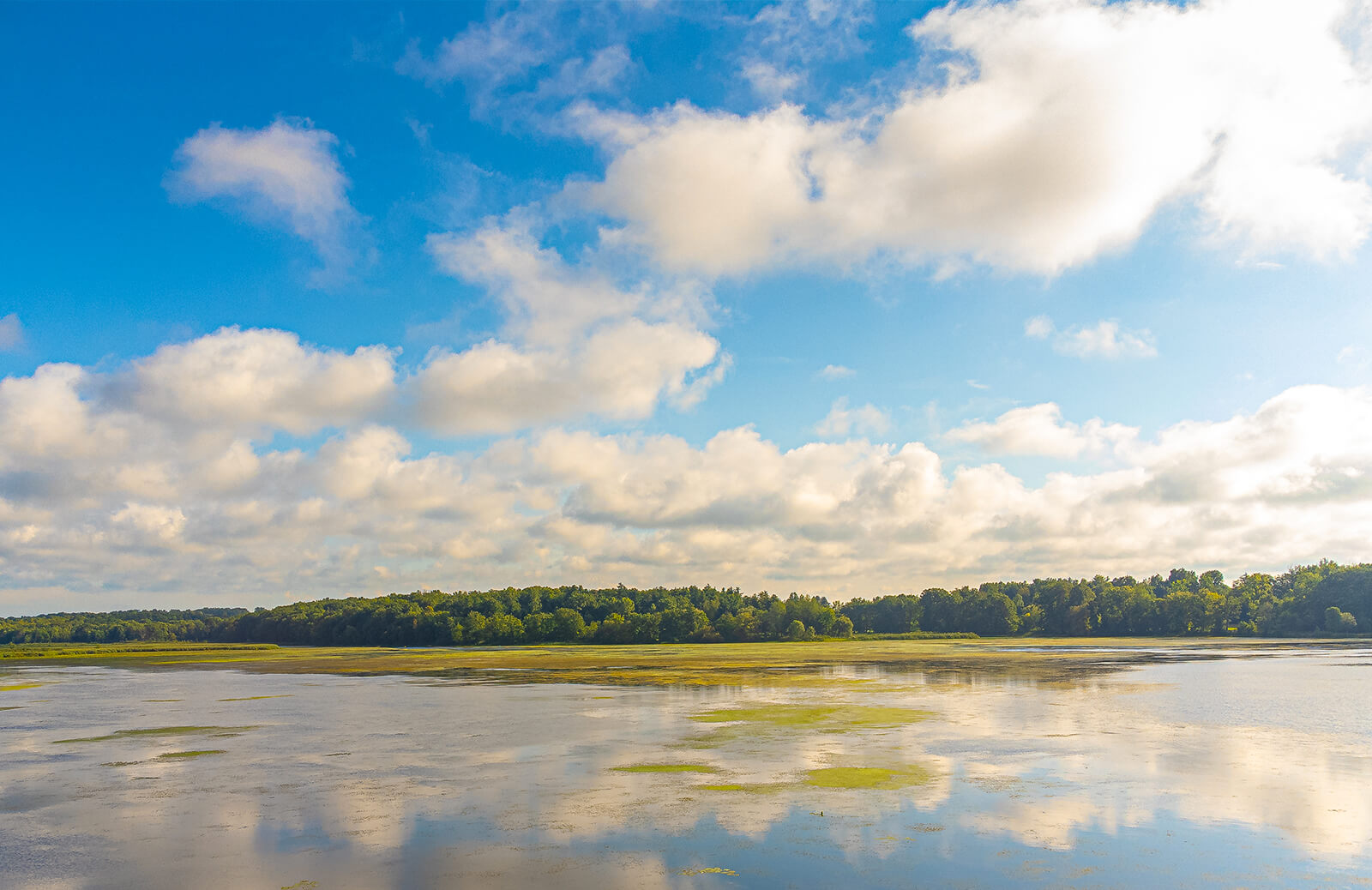 Your Alternative text