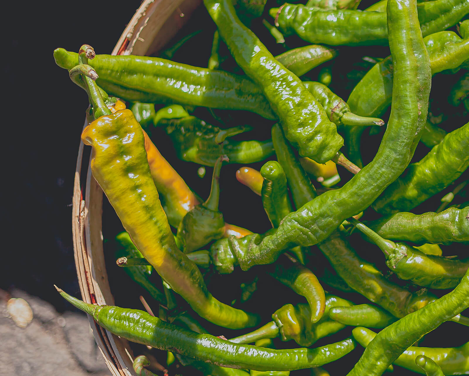 Your Alternative text