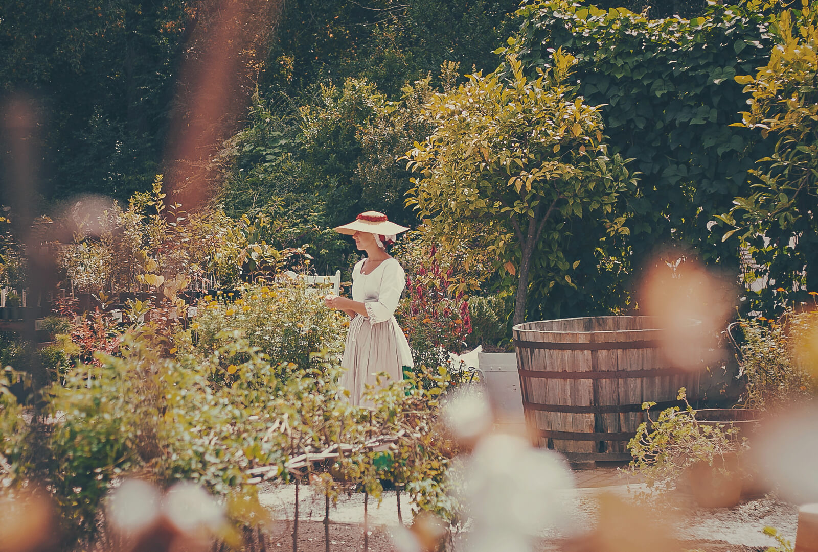 Your Alternative text