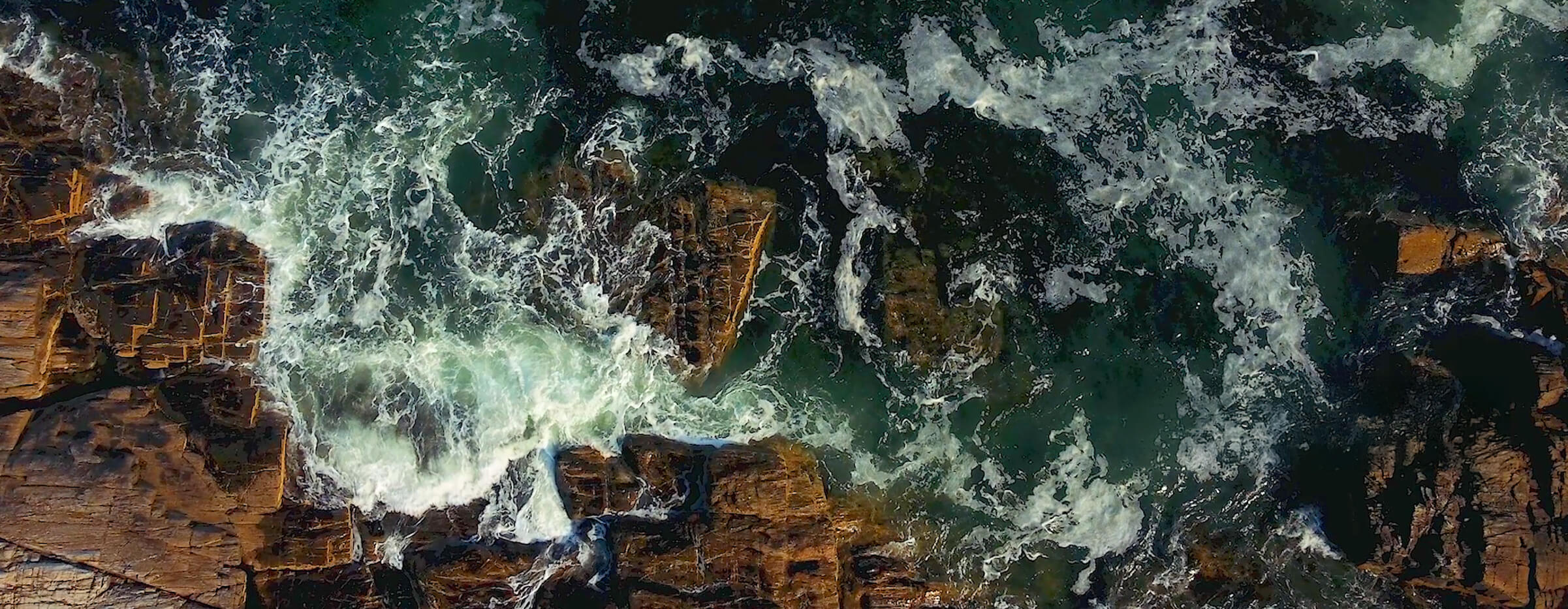 Your Alternative text